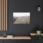 Lavender Field Wall Art – Stretched Canvas