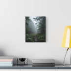 Misty Forest Path  Stretched Wall Art - Canvas Print