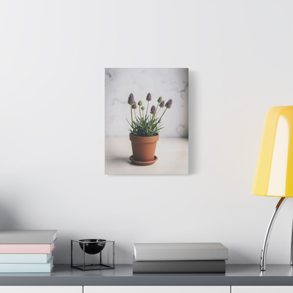 Muurdecoratie met alpengras in pot – gespannen canvas