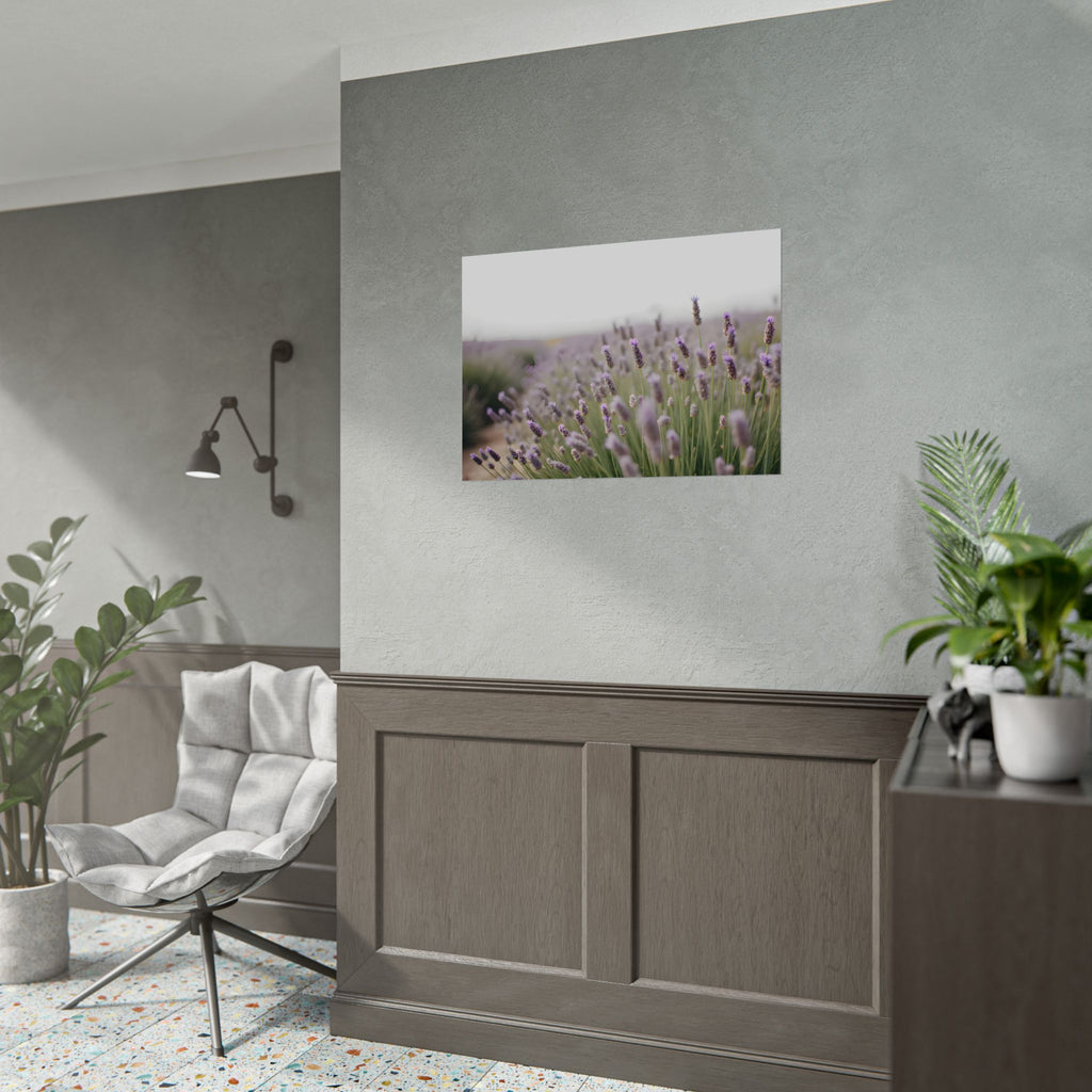 Muurdecoratie met lavendelveld – Poster 