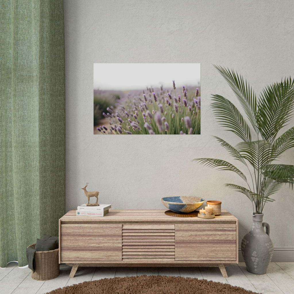 Muurdecoratie met lavendelveld – Poster 
