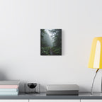 Misty Forest Path  Stretched Wall Art - Canvas Print