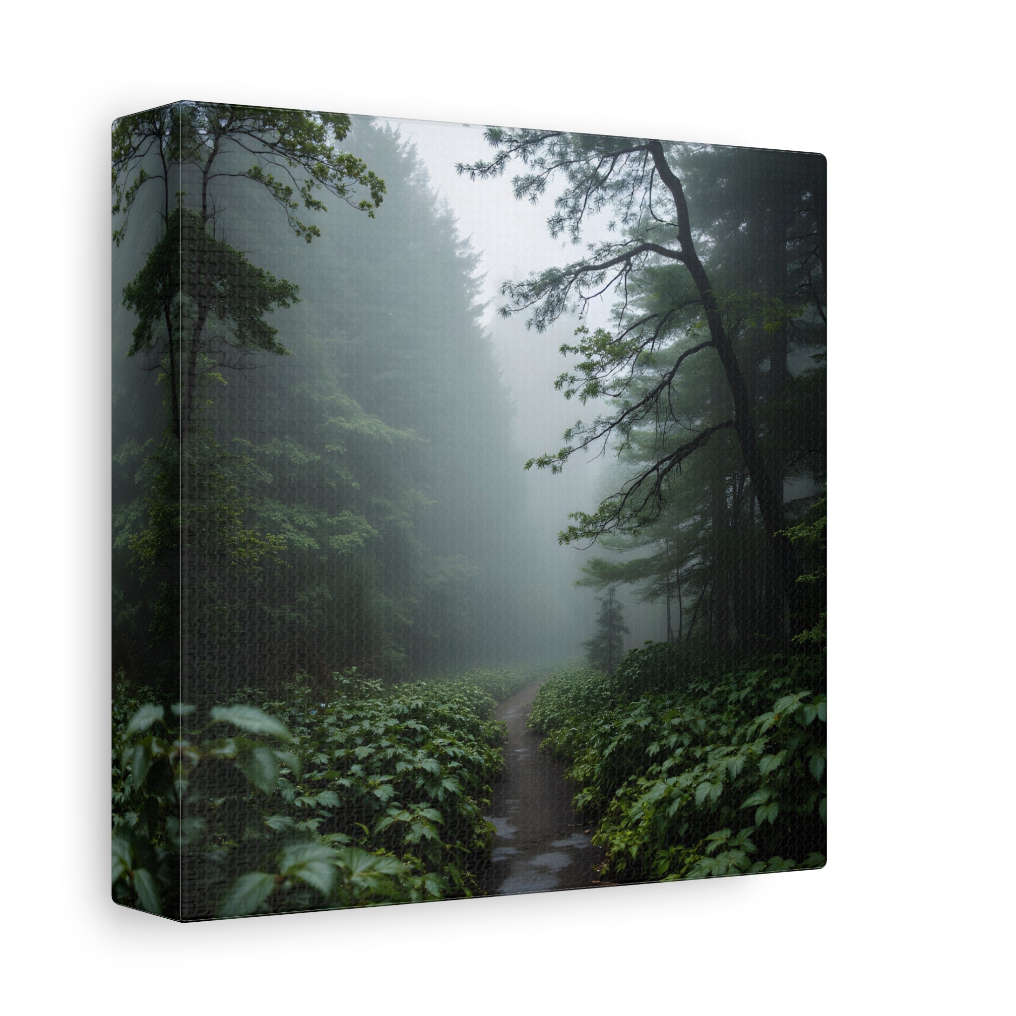 Misty Forest Path  Stretched Wall Art - Canvas Print