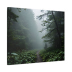 Misty Forest Path  Stretched Wall Art - Canvas Print