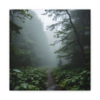 Misty Forest Path  Stretched Wall Art - Canvas Print