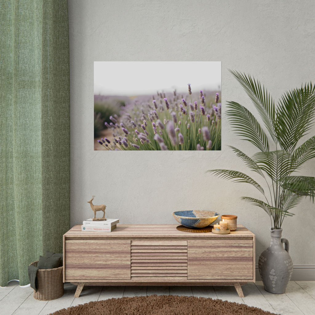 Muurdecoratie met lavendelveld – Poster 