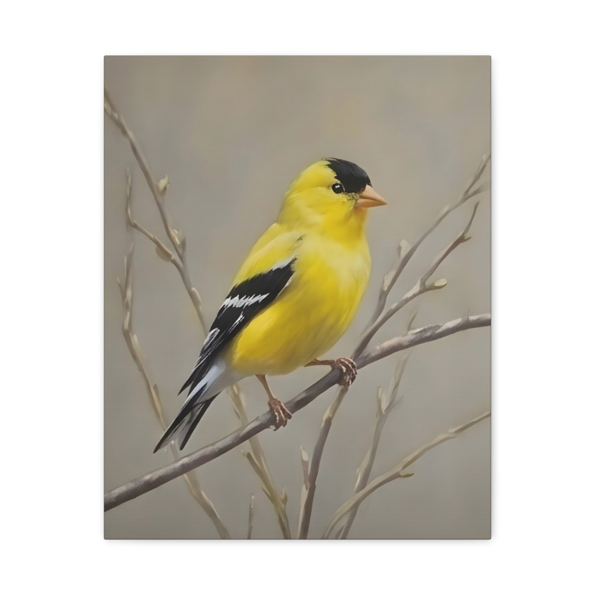 Goldfinch Wall Art Canvas — Yellow Songbird Painting on Branch, Matte Stretched Canvas