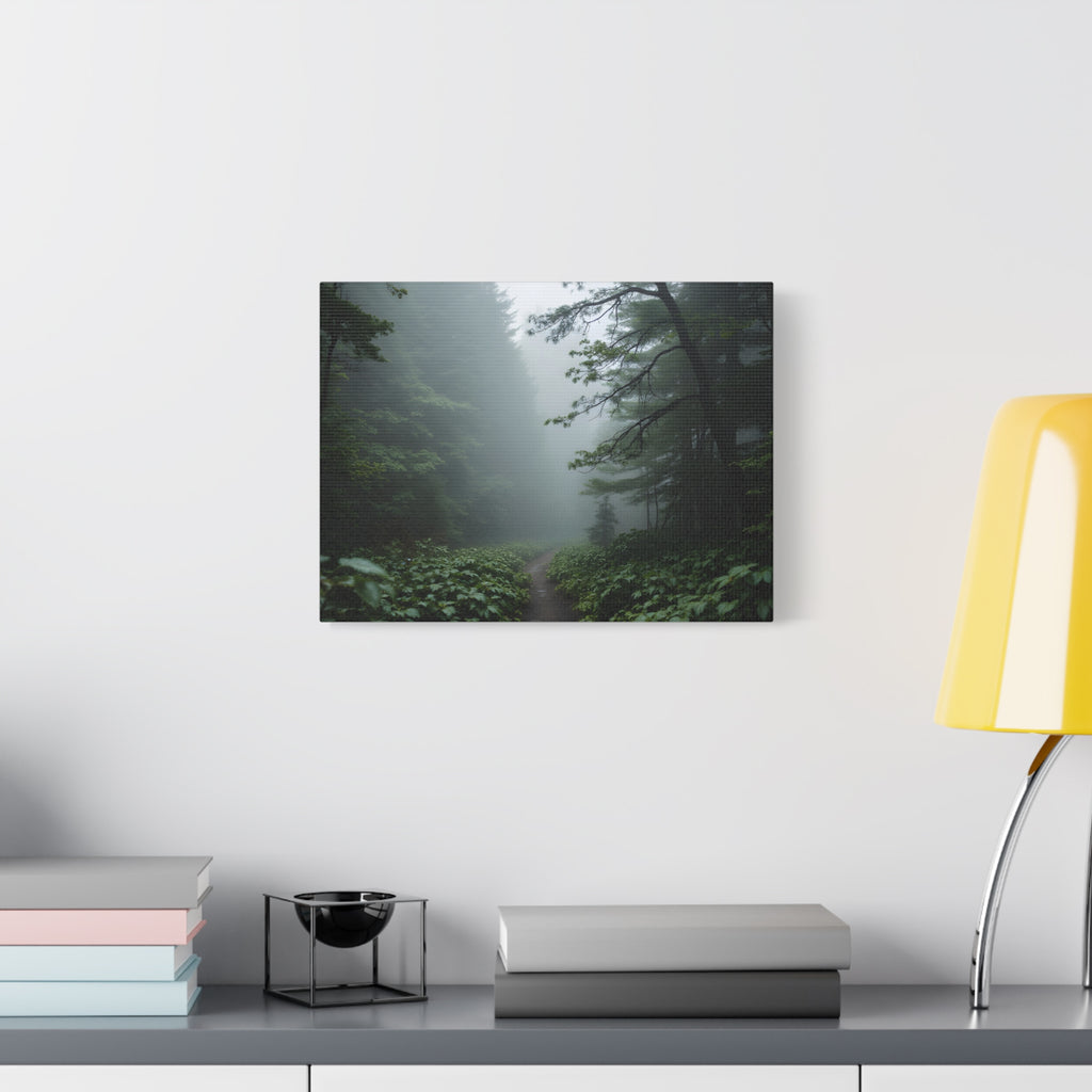 Misty Forest Path  Stretched Wall Art - Canvas Print