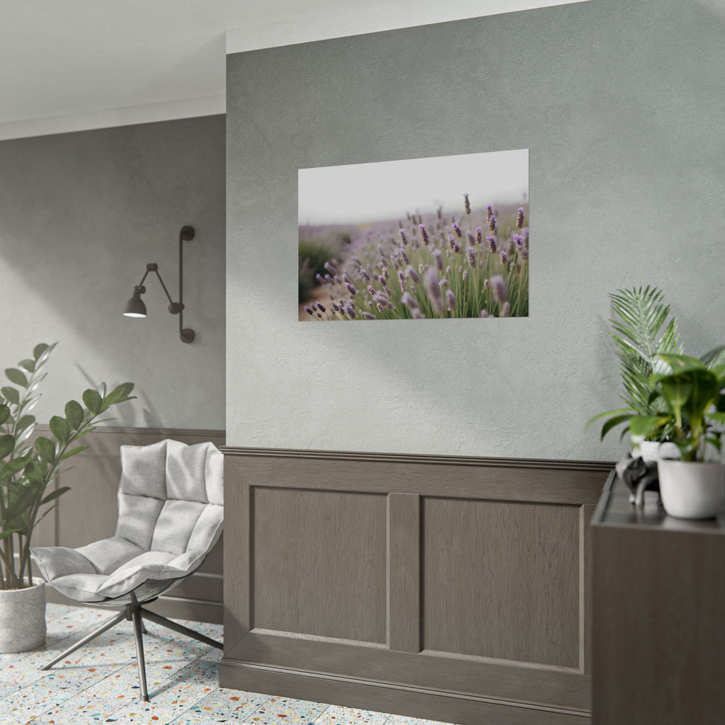 Muurdecoratie met lavendelveld – Poster 