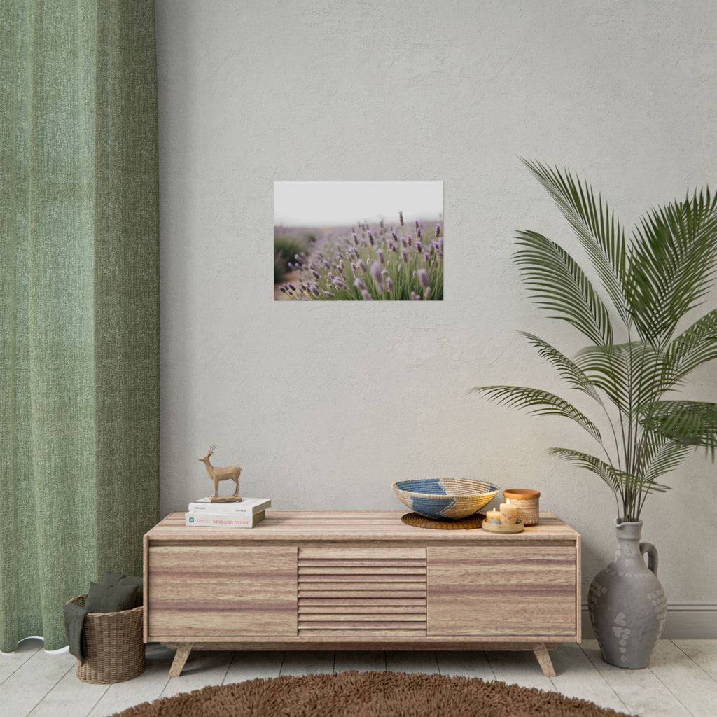 Muurdecoratie met lavendelveld – Poster 