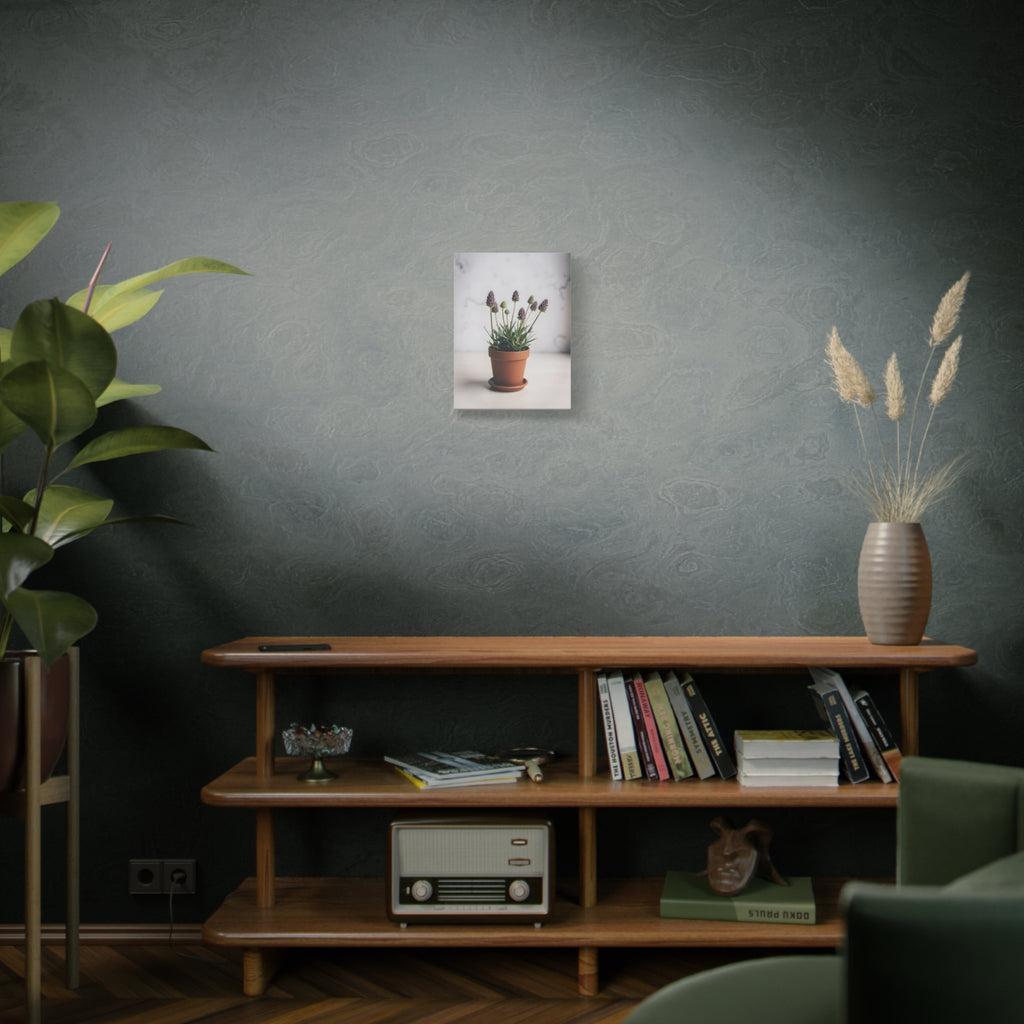 Potted Alpine Dodgegrass Wall Art – Stretched Canvas