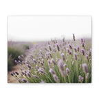 Lavender Field Wall Art – Stretched Canvas