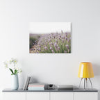 Lavender Field Wall Art – Stretched Canvas