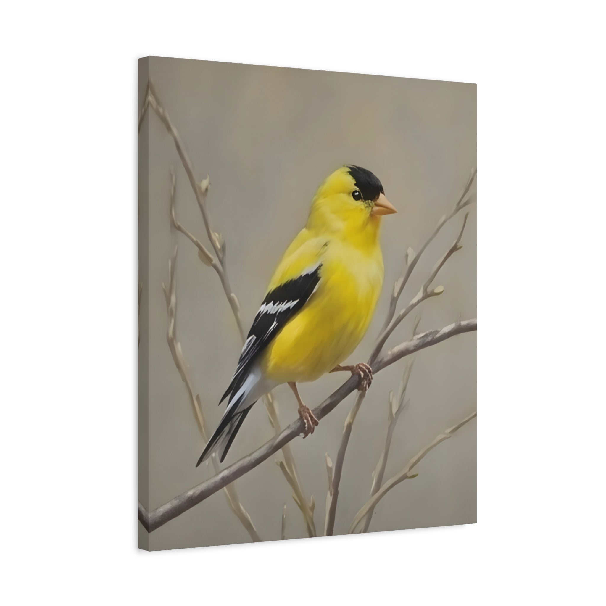 Goldfinch Wall Art Canvas — Yellow Songbird Painting on Branch, Matte Stretched Canvas