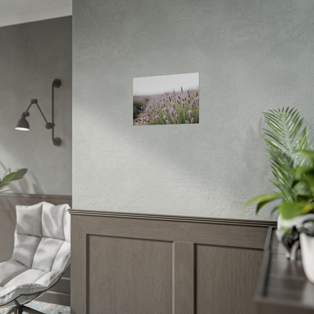 Muurdecoratie met lavendelveld – Poster 