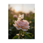 Muurposter met vlinder op roze roos 