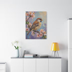 Sparrow on Cherry Blossoms Matte Stretched Canvas