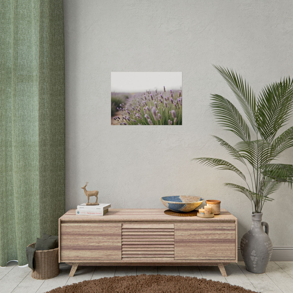 Muurdecoratie met lavendelveld – Poster 