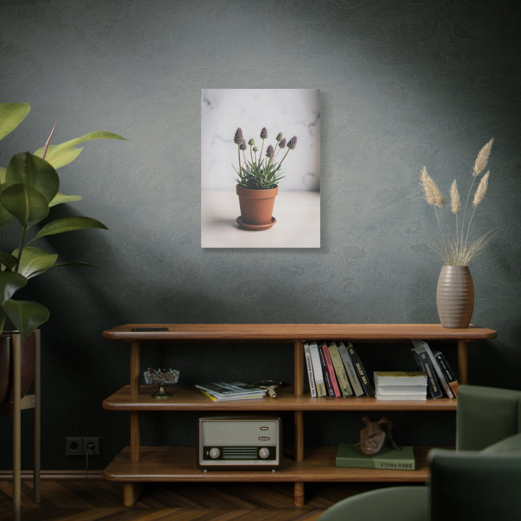 Potted Alpine Dodgegrass Wall Art – Stretched Canvas