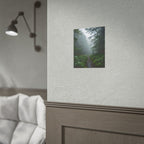 Muurdecoratie met een mistig bospad - Poster 