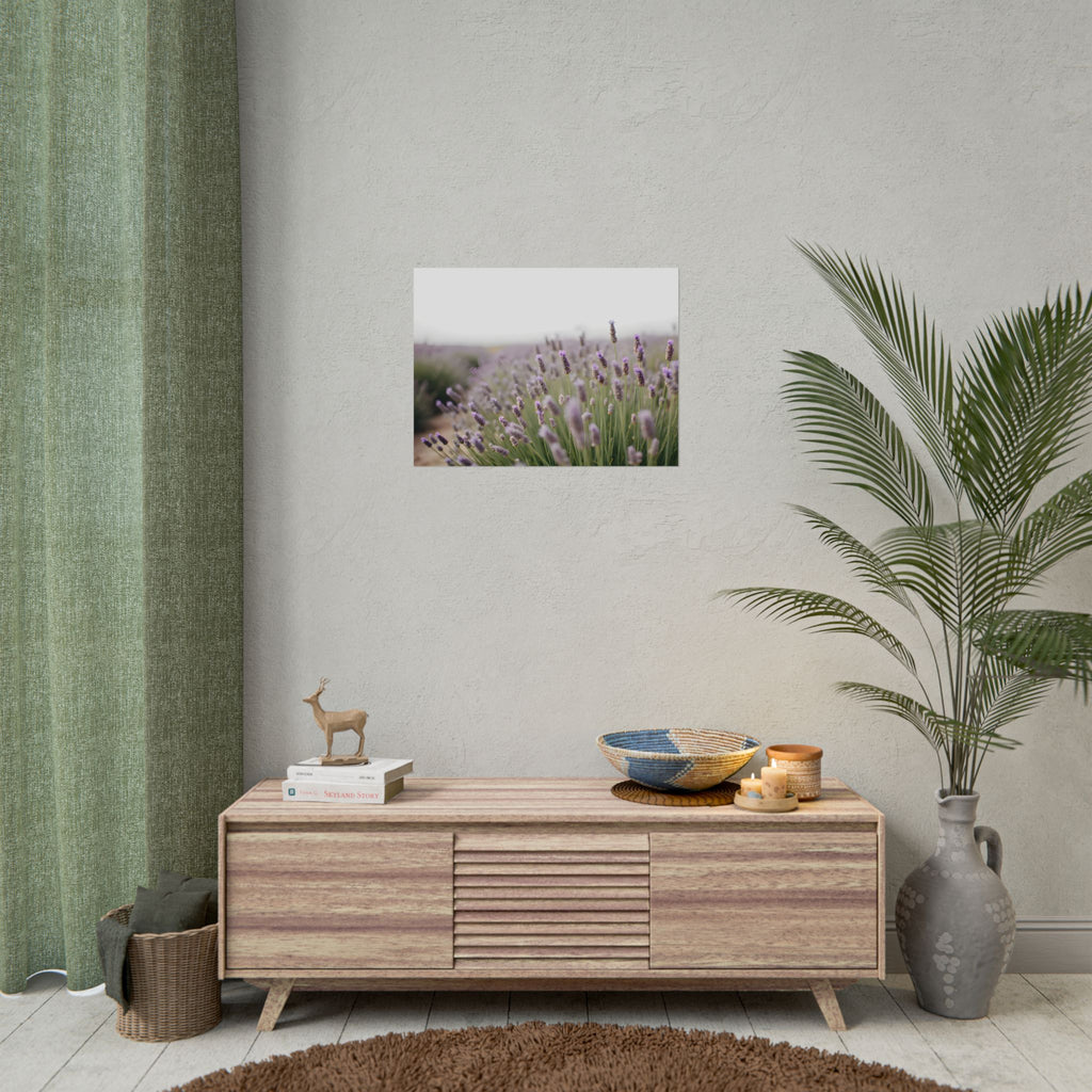 Muurdecoratie met lavendelveld – Poster 