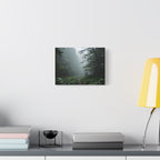 Misty Forest Path  Stretched Wall Art - Canvas Print