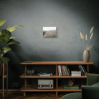 Lavender Field Wall Art – Stretched Canvas