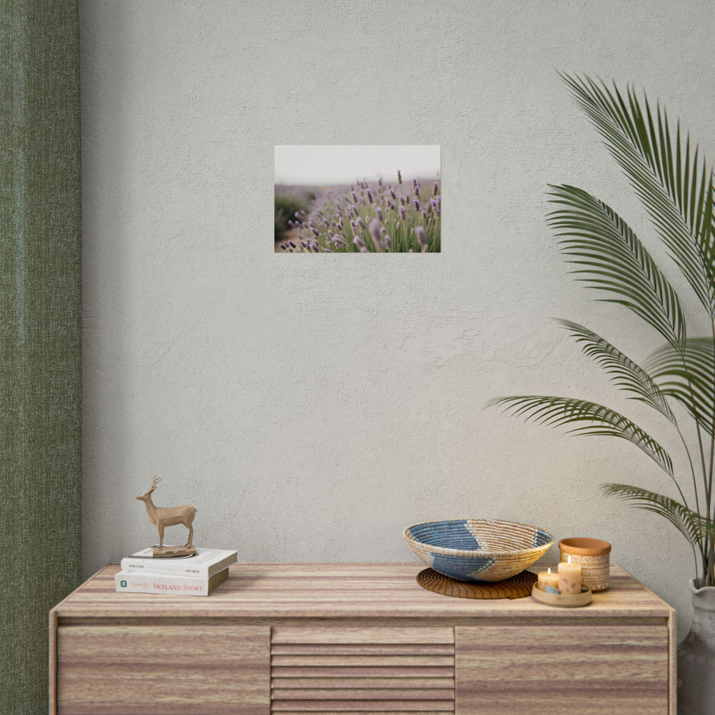 Muurdecoratie met lavendelveld – Poster 