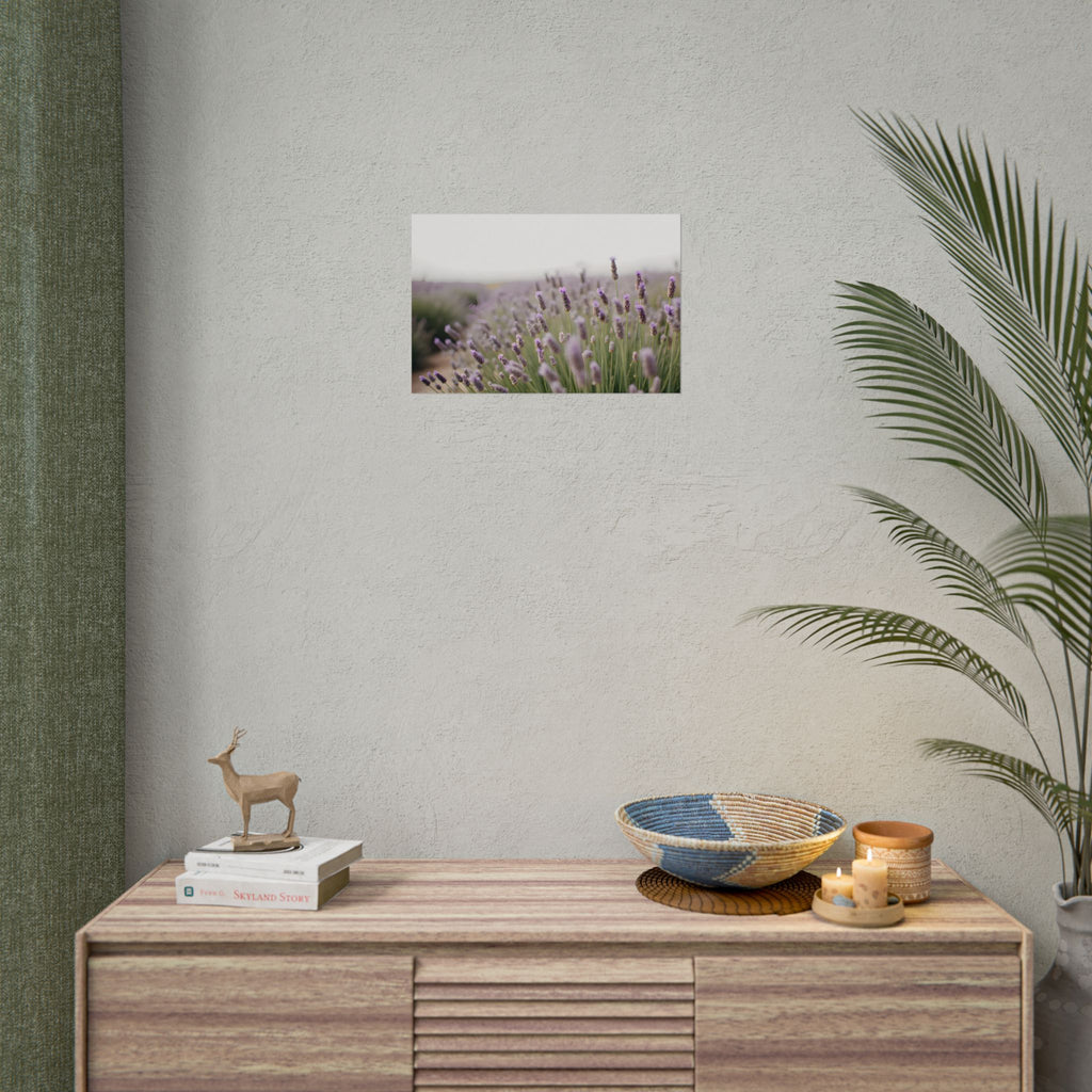 Muurdecoratie met lavendelveld – Poster 