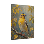 Goldfinch on a branch Wall Art - Poster