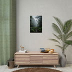 Muurdecoratie met een mistig bospad - Poster 