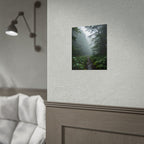 Muurdecoratie met een mistig bospad - Poster 