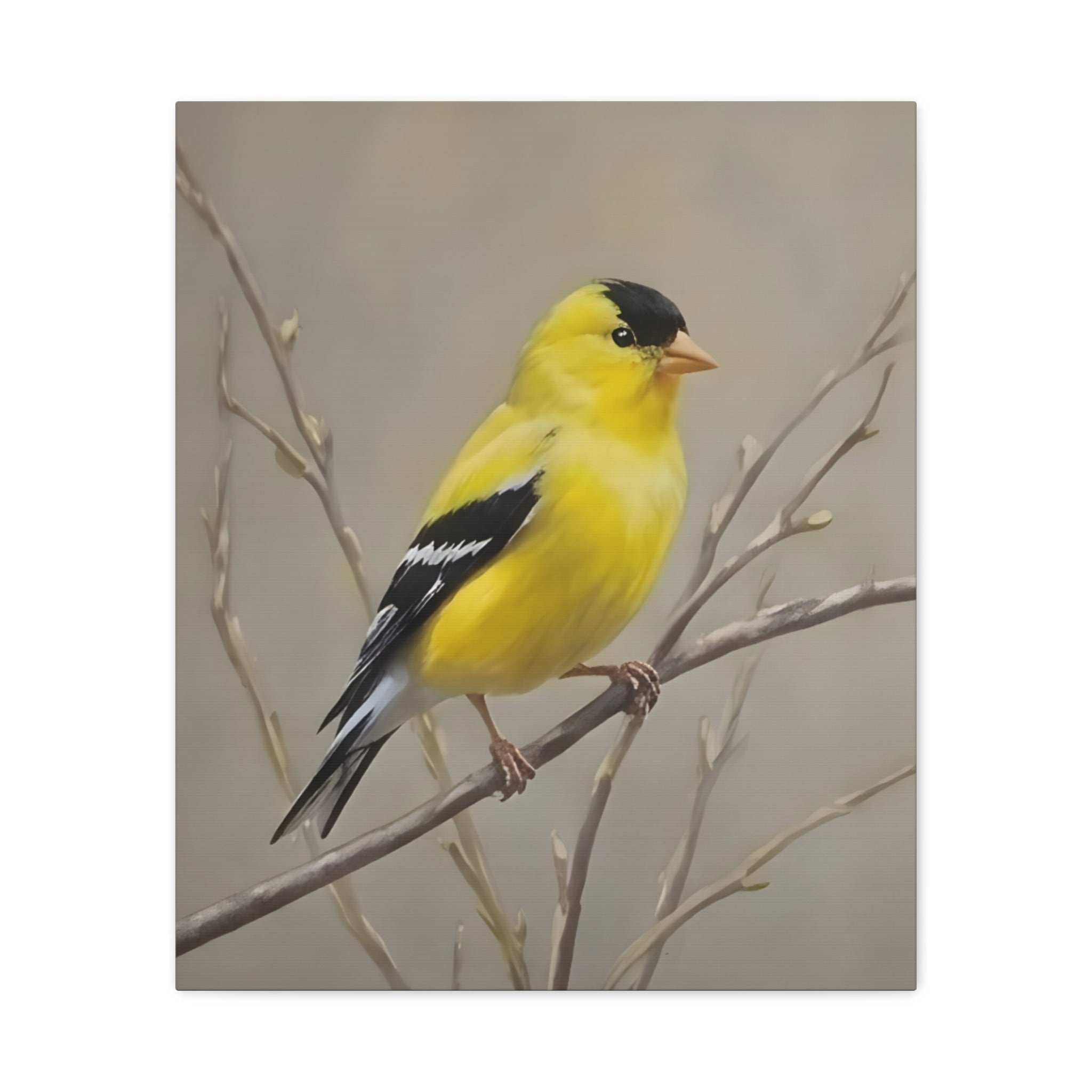 Goldfinch Wall Art Canvas — Yellow Songbird Painting on Branch, Matte Stretched Canvas