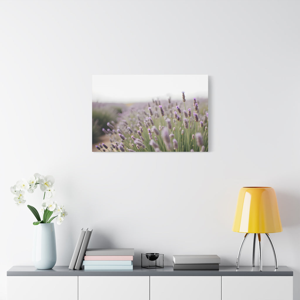 Lavender Field Wall Art – Stretched Canvas