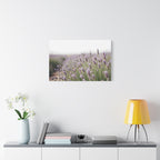 Lavender Field Wall Art – Stretched Canvas