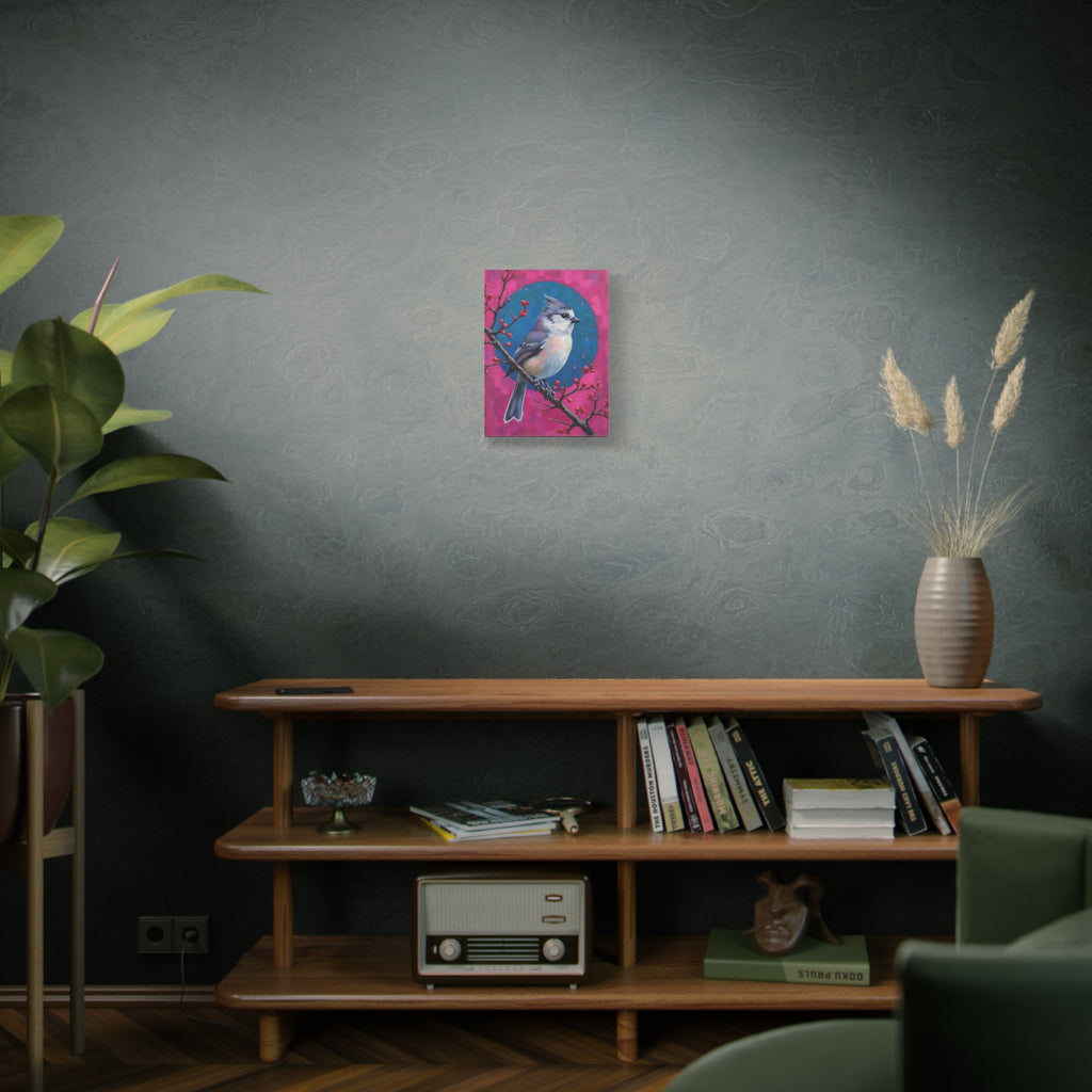 Blue jay on a holly branch Wall Art - Stretched Canvas