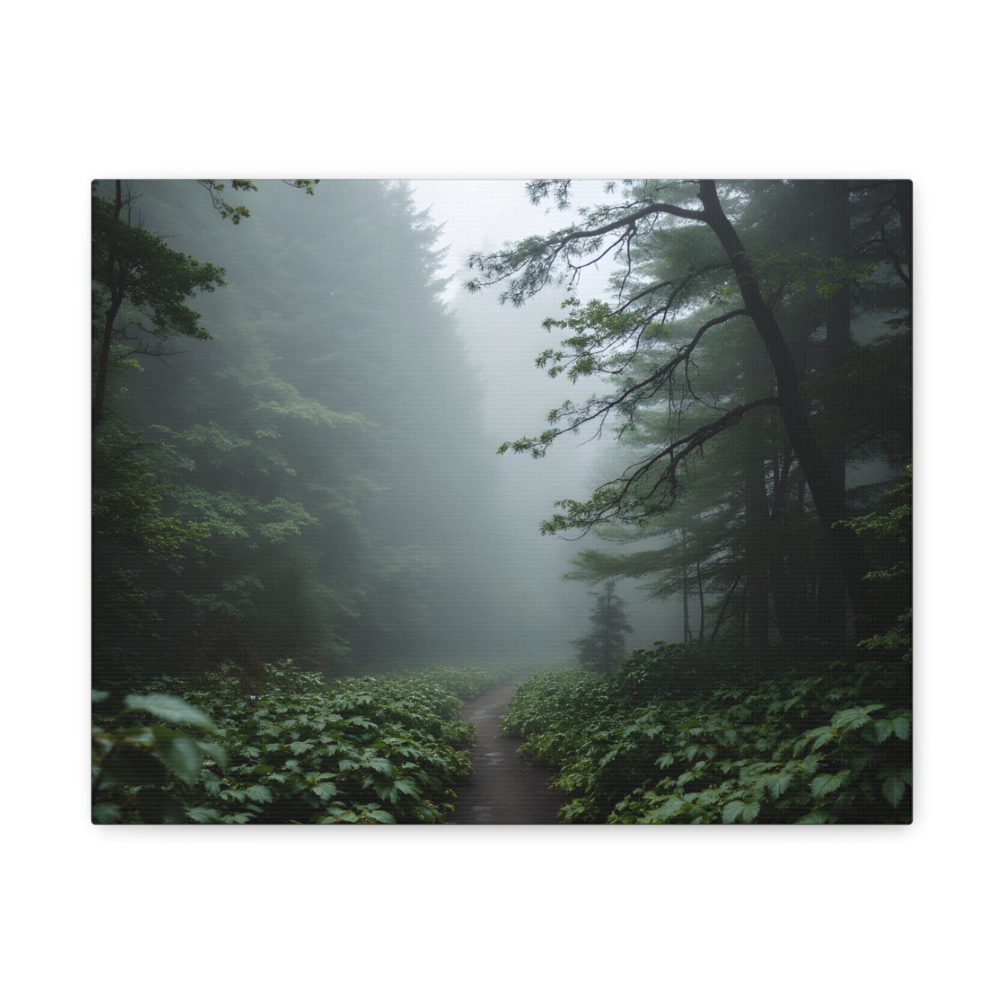 Misty Forest Path  Stretched Wall Art - Canvas Print
