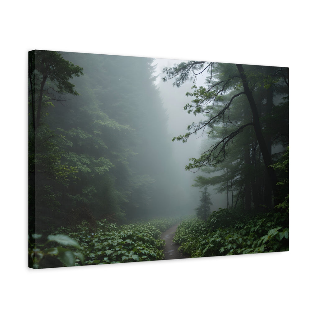 Misty Forest Path  Stretched Wall Art - Canvas Print