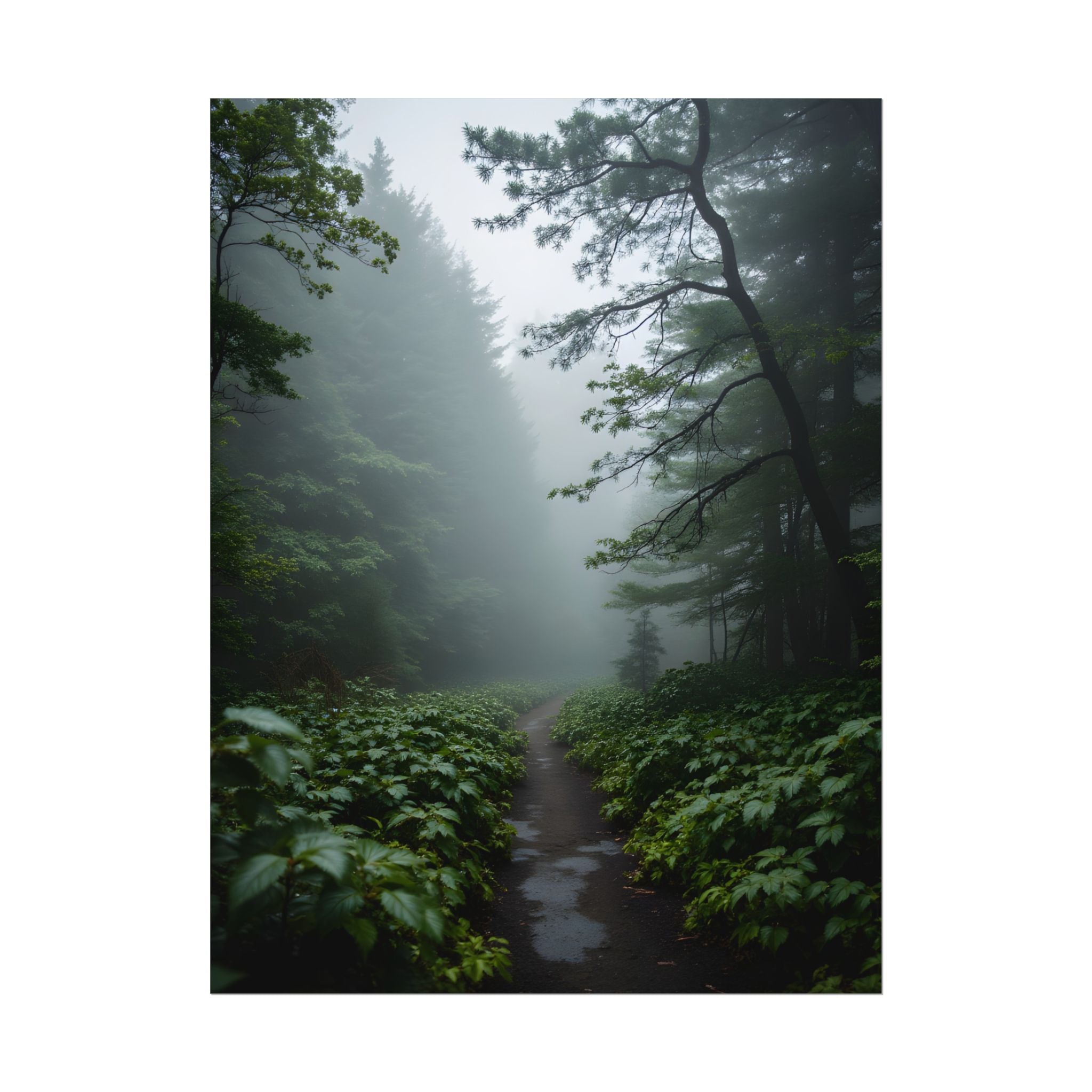 Misty Forest Path  Stretched Wall Art - Poster