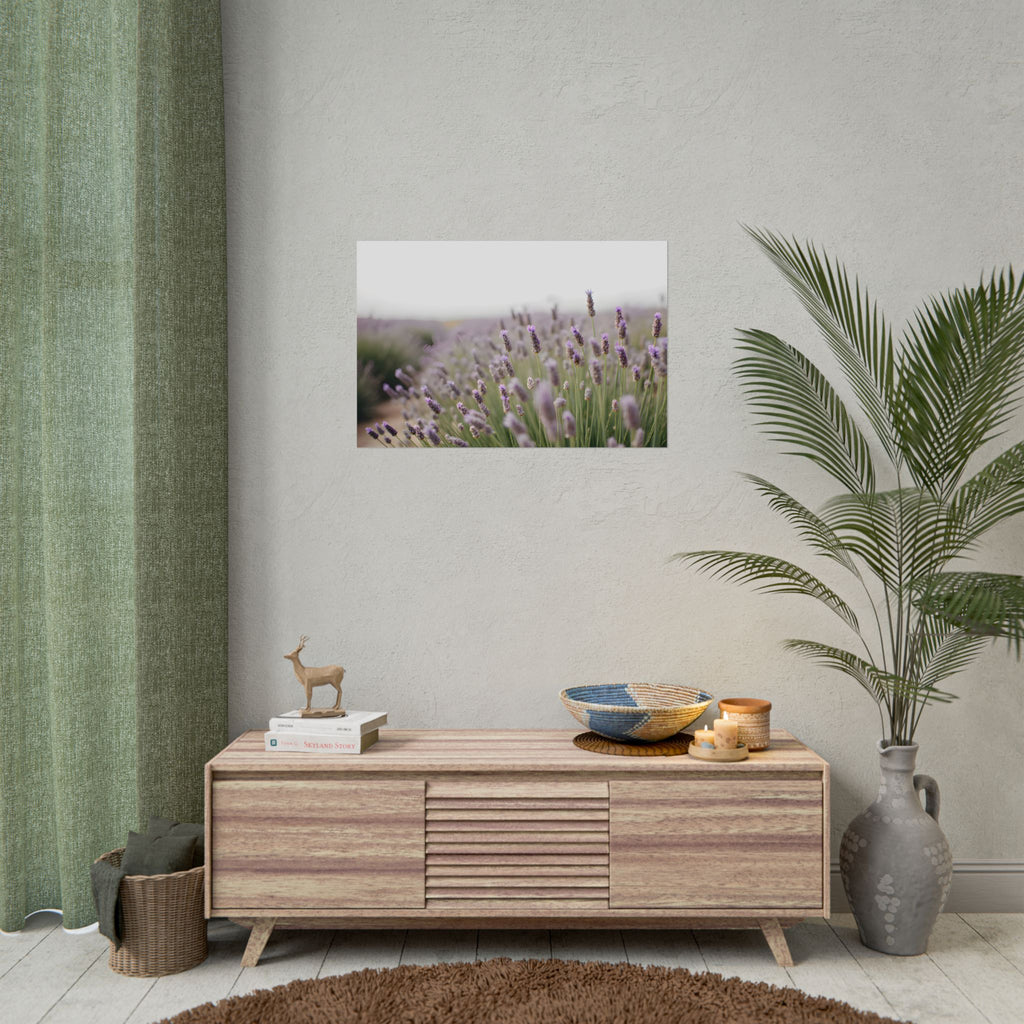 Muurdecoratie met lavendelveld – Poster 