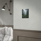 Muurdecoratie met een mistig bospad - Poster 