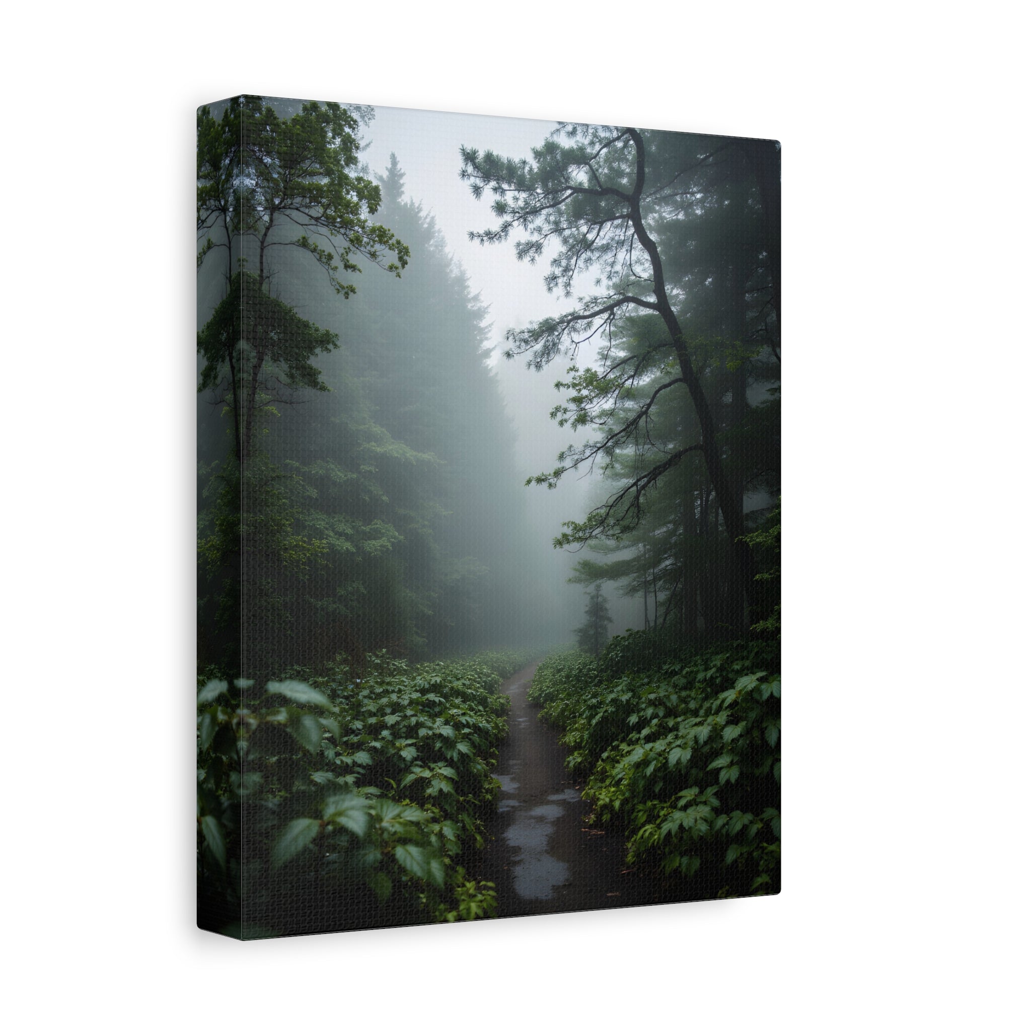 Misty Forest Path  Stretched Wall Art - Canvas Print