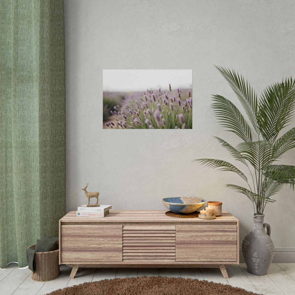 Muurdecoratie met lavendelveld – Poster 