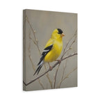 Goldfinch Wall Art Canvas — Yellow Songbird Painting on Branch, Matte Stretched Canvas