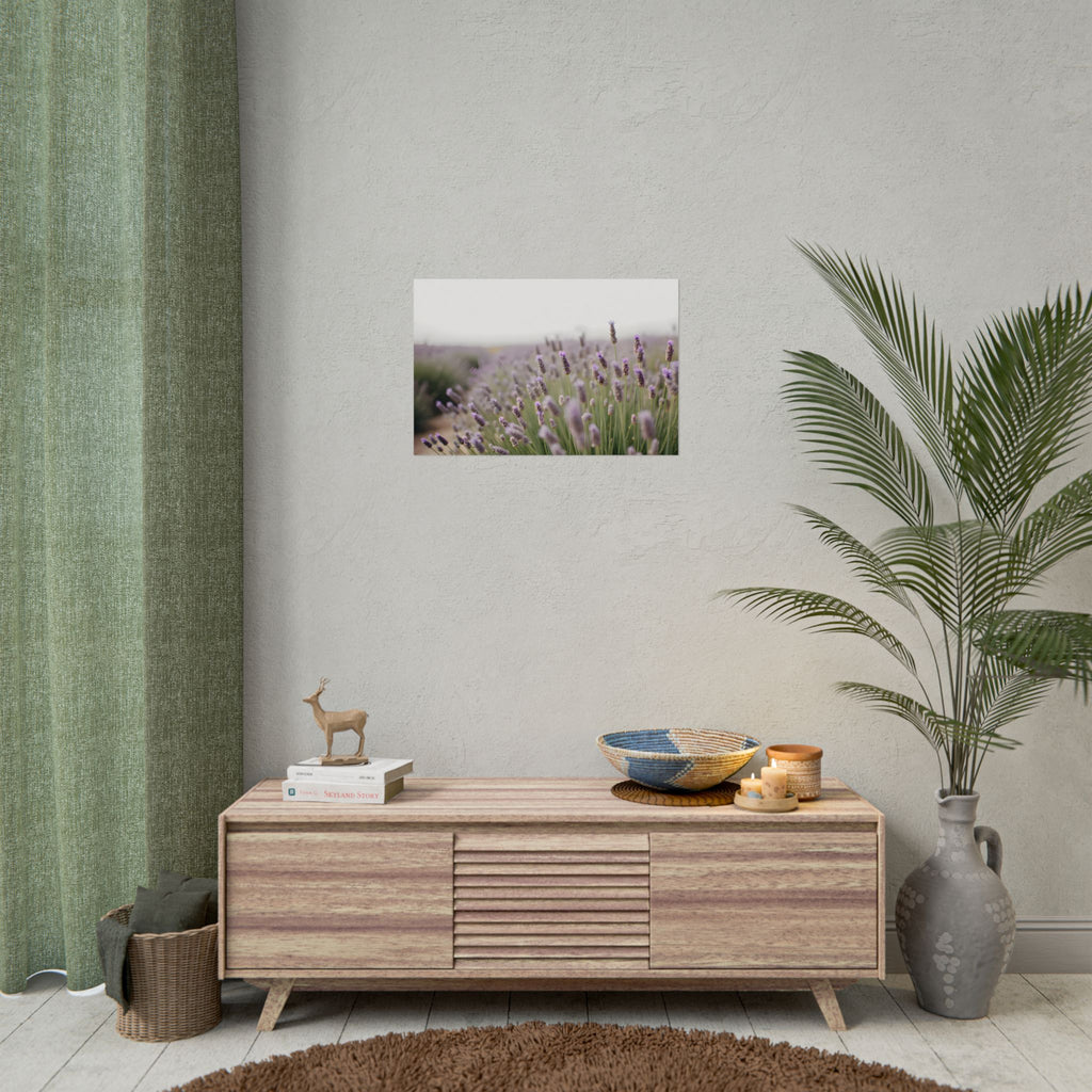 Muurdecoratie met lavendelveld – Poster 
