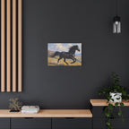 Muurdecoratie met een rennende zwarte hengst - Paardenschilderij - Gespannen canvas 