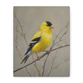 Goldfinch Wall Art Canvas — Yellow Songbird Painting on Branch, Matte Stretched Canvas