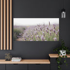 Lavender Field Wall Art – Stretched Canvas