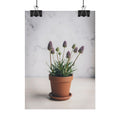 Muurdecoratie met alpengras in pot – Poster 