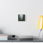 Misty Forest Path  Stretched Wall Art - Canvas Print